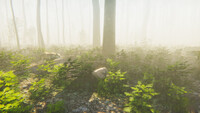 Mindfulness Simulator