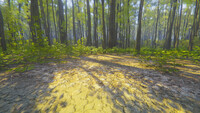 Mindfulness Simulator