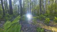 Mindfulness Simulator