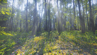 Mindfulness Simulator