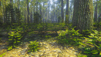 Mindfulness Simulator
