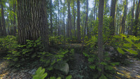 Mindfulness Simulator