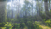 Mindfulness Simulator