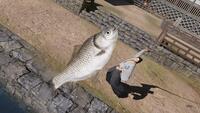 Like a Dragon: Ishin!