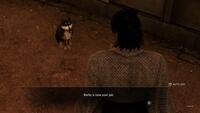 Like a Dragon: Ishin!