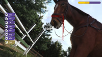 Animal Trainer Simulator
