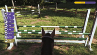 Animal Trainer Simulator