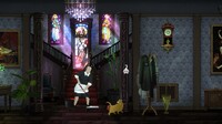 Cats and the Other Lives
