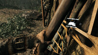 Primitive