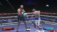 Undisputed