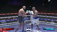 Undisputed