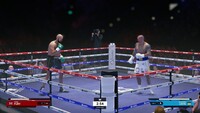 Undisputed