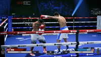 Undisputed