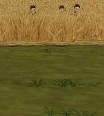 Combat Mission 2: Barbarossa to Berlin