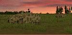 Combat Mission 2: Barbarossa to Berlin