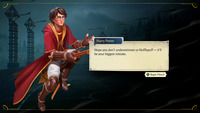 Harry Potter: Quidditch Champions