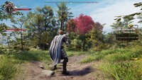 Gangs of Sherwood