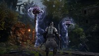 Gangs of Sherwood