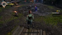 Gangs of Sherwood