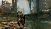 Gangs of Sherwood