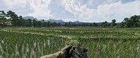 Gray Zone Warfare