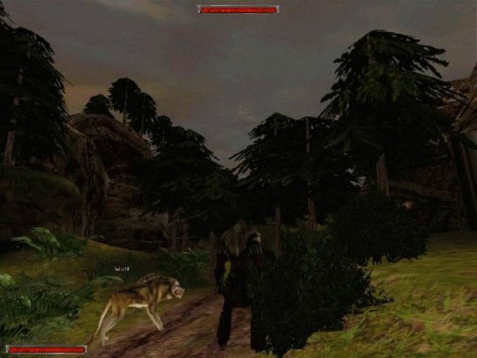 Gothic 2