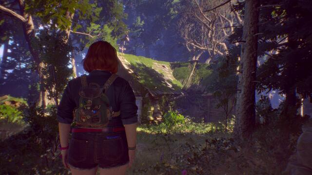 Lost Records: Bloom & Rage