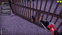 Animal Shelter 2