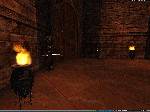 Anarchy Online