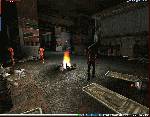 Anarchy Online