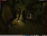 Anarchy Online
