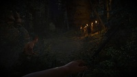 Kingdom Come: Deliverance II