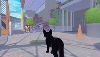 Little Kitty, Big City