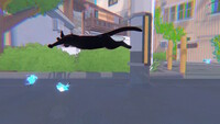 Little Kitty, Big City