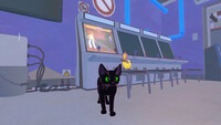 Little Kitty, Big City