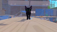 Little Kitty, Big City