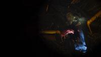 Alien: Rogue Incursion