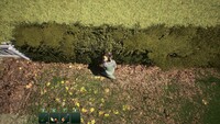 Garden Designer