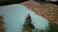 Garden Designer