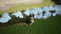 Garden Designer