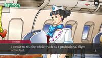 Ace Attorney Investigations Collection