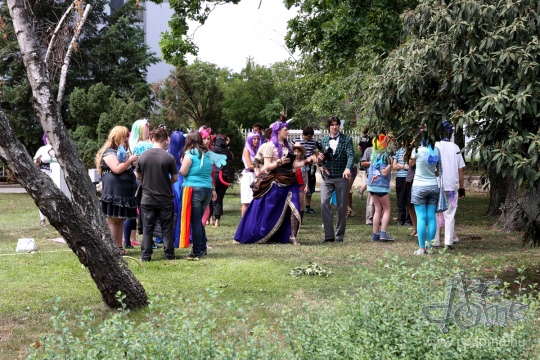 MondoCon 2012. nyár - fotógaléria