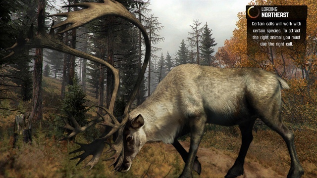 Cabela's Big Game Hunter: Pro Hunts