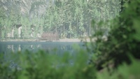 Lushfoil Photography Sim