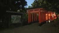 Lushfoil Photography Sim