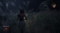 Fatal Frame II: Crimson Butterfly Remake