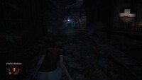 Fatal Frame II: Crimson Butterfly Remake