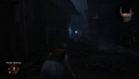 Fatal Frame II: Crimson Butterfly Remake