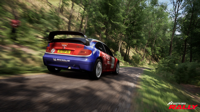 Assetto Corsa Rally