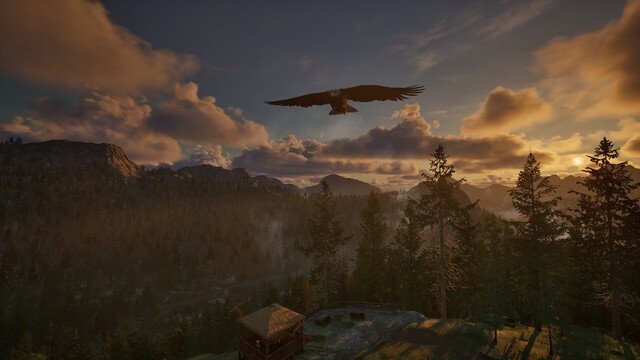 Ranger’s Path: National Park Simulato